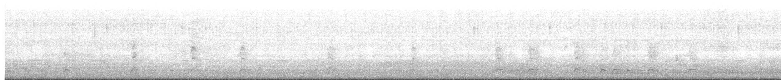 Cygne à cou noir - ML604967621