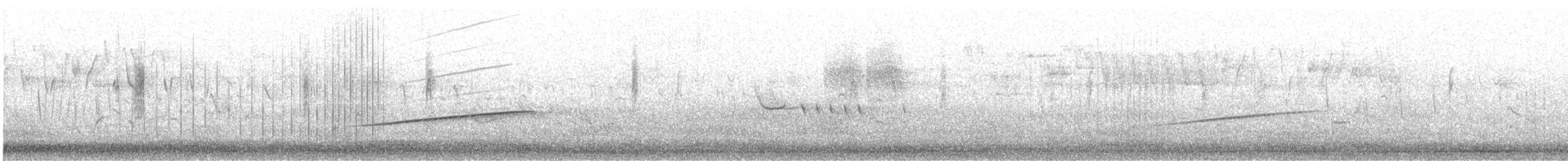 Cape Clapper Lark (Cape) - ML604974991