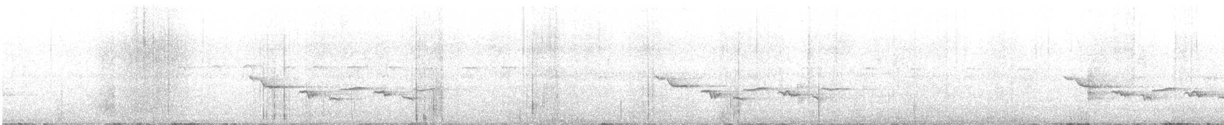 hvitbrynkrattskvett (leucophrys gr.) - ML605003561