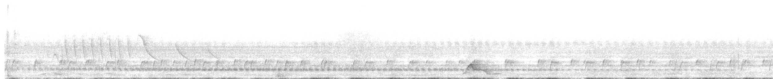 Pauraquenachtschwalbe - ML605015681