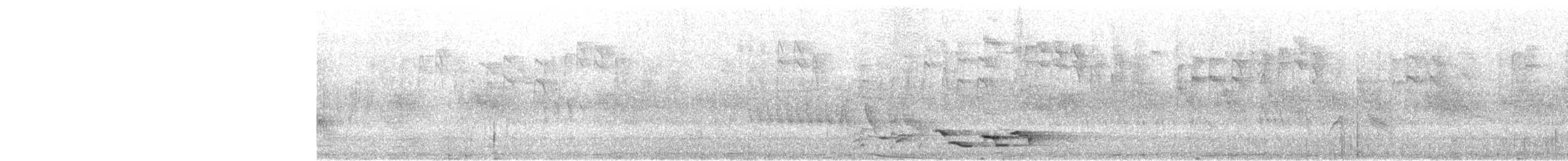 Эгэл шаргач - ML605026351