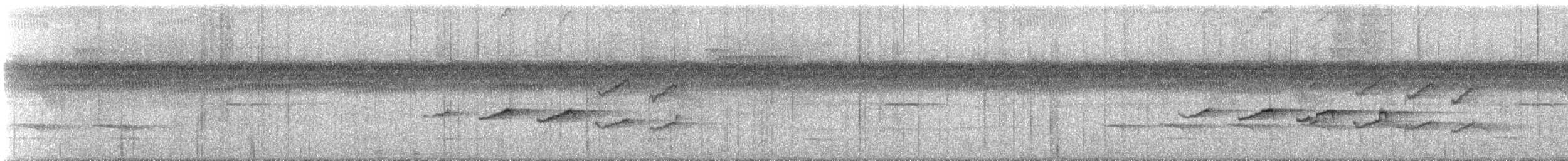 South American Leaftosser (Guianan) - ML605043581