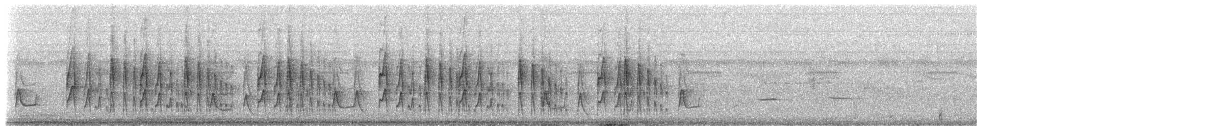 Nordstelzentyrann - ML605057261