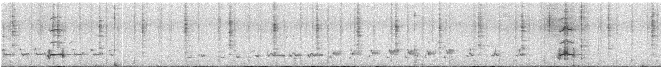 Scaled Quail - ML605076501