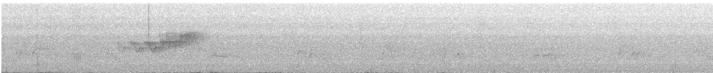 lesňáček modropláštíkový - ML60508991