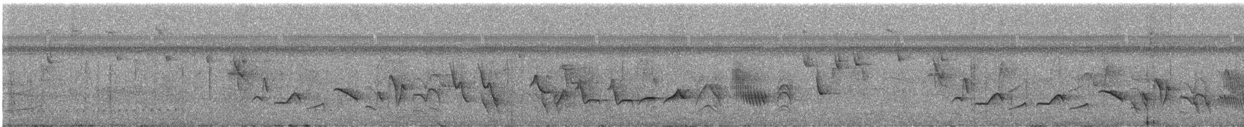 Black-billed Seed-Finch - ML605106181