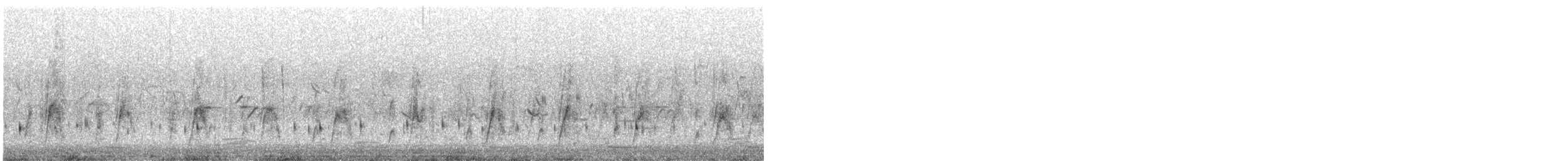 Oie-armée de Gambie (niger) - ML605141611