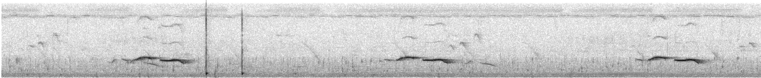 Пятнистогрудая тимелия-говорушка - ML605149741