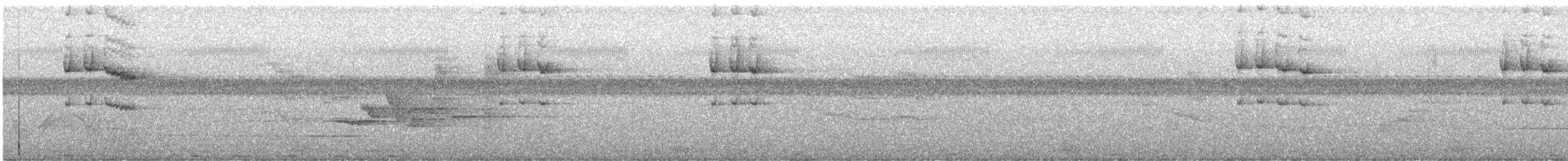 Fiji Papağan İspinozu - ML605169101