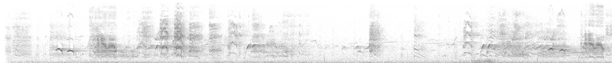 White-browed Babbler - ML605184261