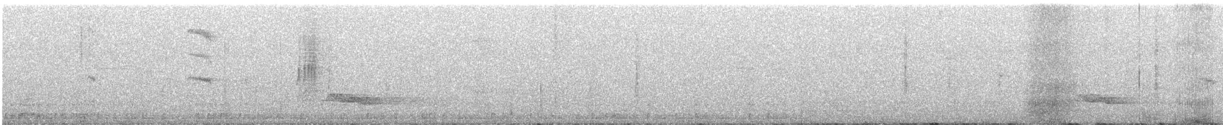 Золотистая сутора - ML605205791