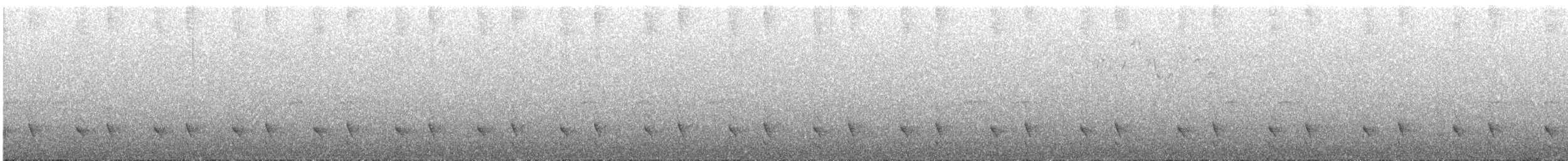 Mérulaxe microptère - ML605209281