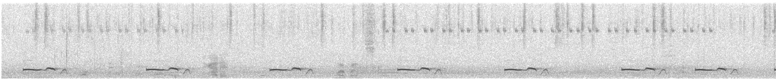 Chotacabras Pachacua - ML605216911