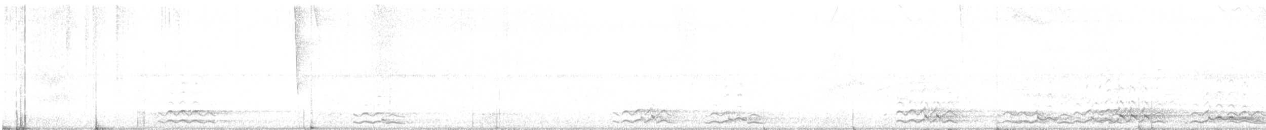 Гагара полярна - ML605239461