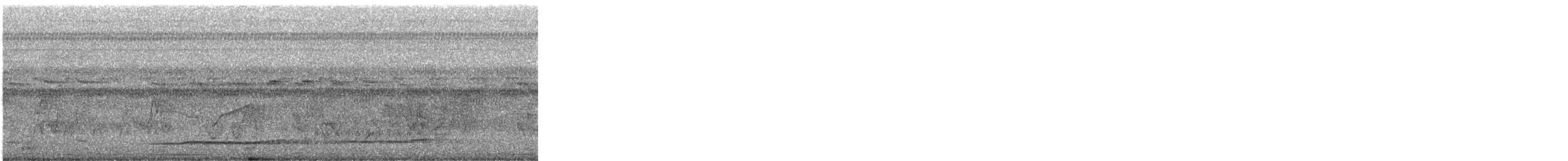 Thicket Tinamou - ML605247921