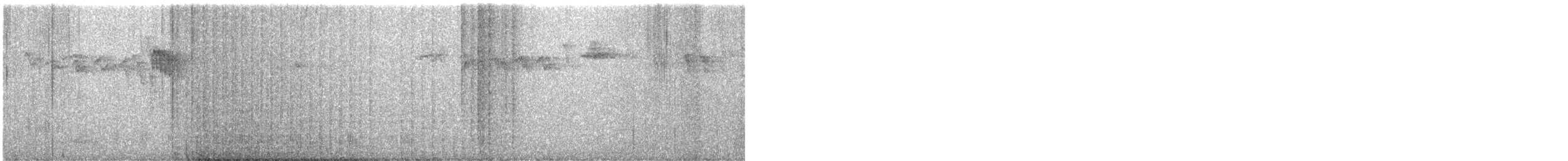 granjerpe (canadensis gr.) - ML605249271
