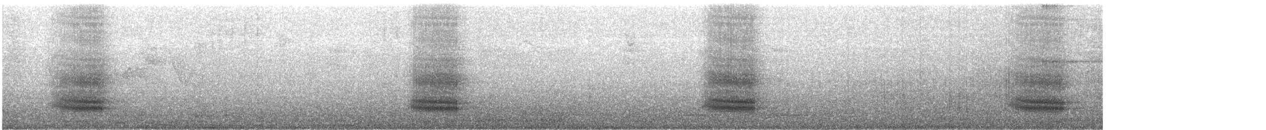 tukan pestrý - ML605252911