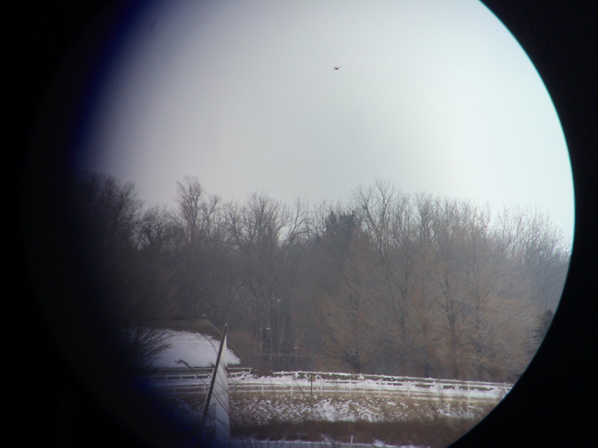 Тарлан сар - ML605275781