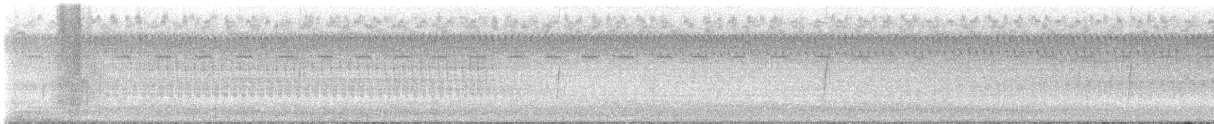 tyranovec olšový/vrbový - ML605278141