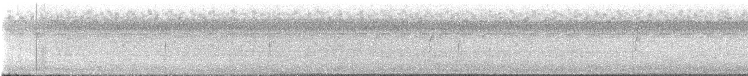 tyranovec olšový/vrbový - ML605278151