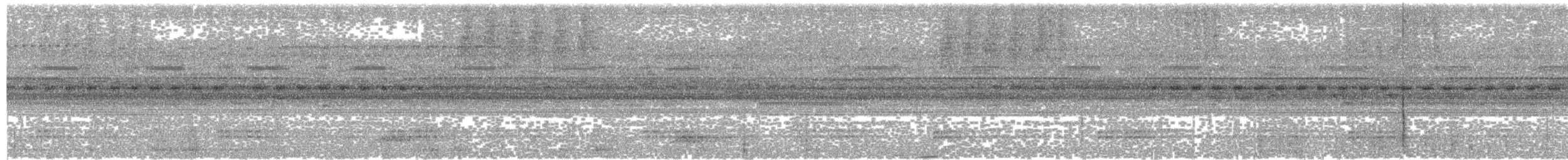 potu bělokřídlý - ML605288011