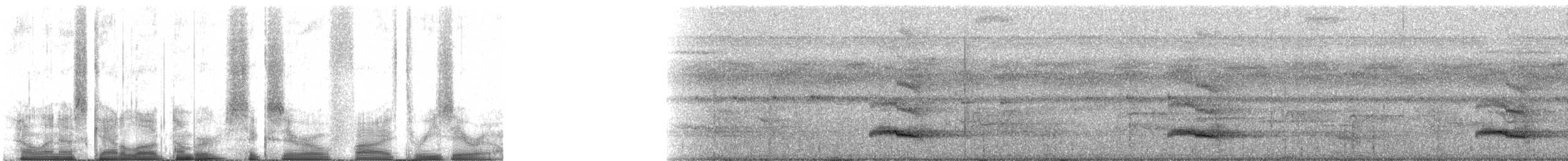 Channel-billed Toucan (Yellow-ridged) - ML60530