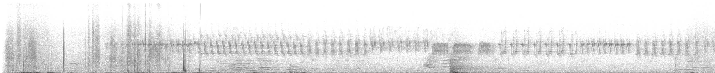 křivka bělokřídlá - ML605300731