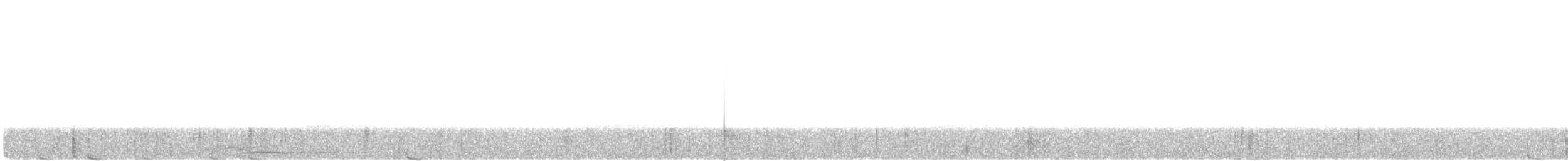 Langschwanz-Tagschläfer - ML605339721