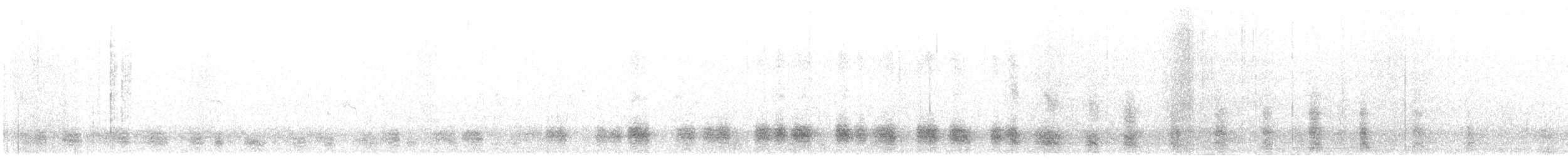 Bécassine impériale - ML605388711