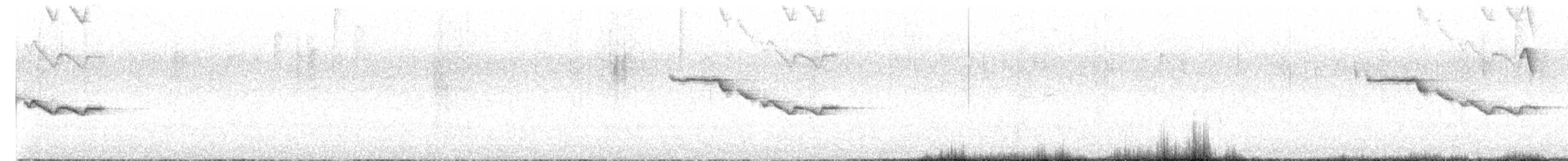 Chestnut-bellied Mountain Tanager - ML605391211