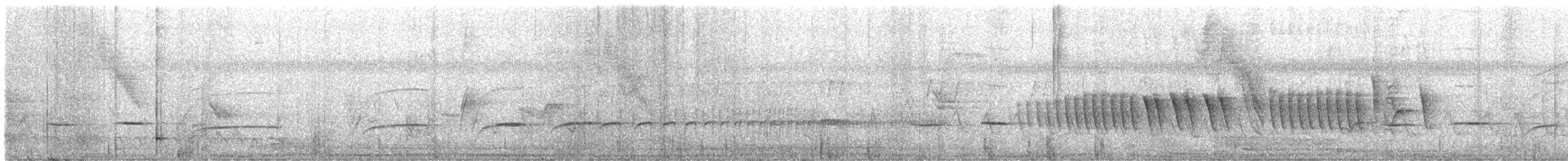 キタホオジロヒメウソ - ML605401701