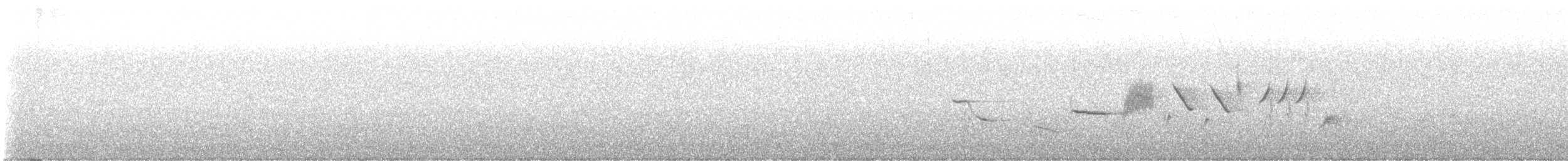 Пестрогрудая овсянка [группа schistacea] - ML605403101