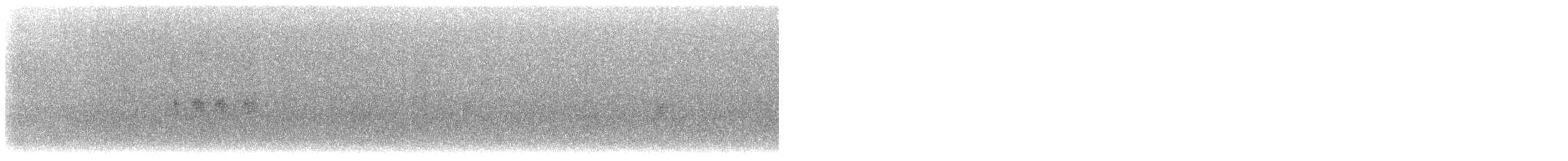 Mirlo Acuático Coroniblanco - ML605439381