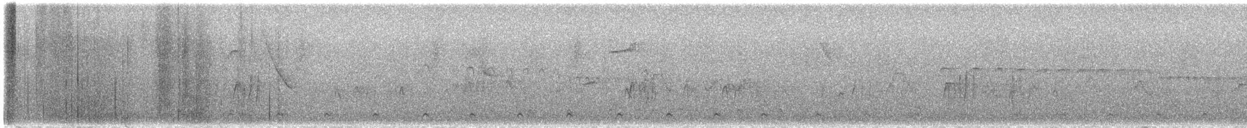 Тиранчик-довгохвіст білогорлий - ML605470451