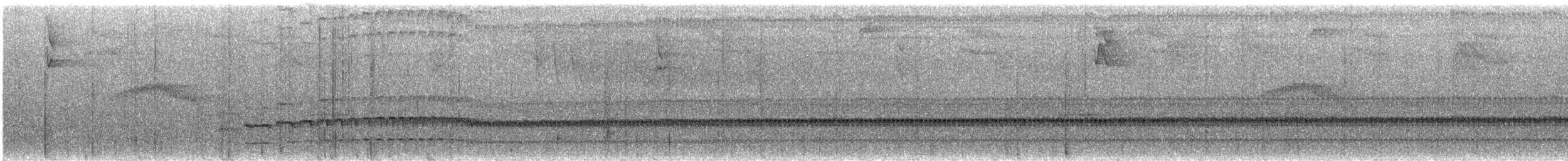 Churrín de Spillmann - ML605472801