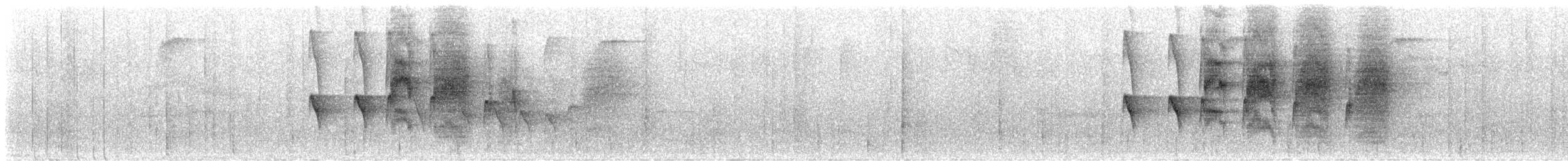 Strichelkopf-Ameisenfänger - ML605472891