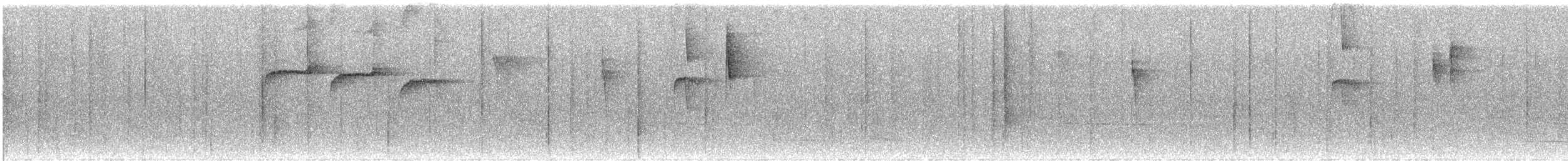オジロフタスジタイランチョウ - ML605475361