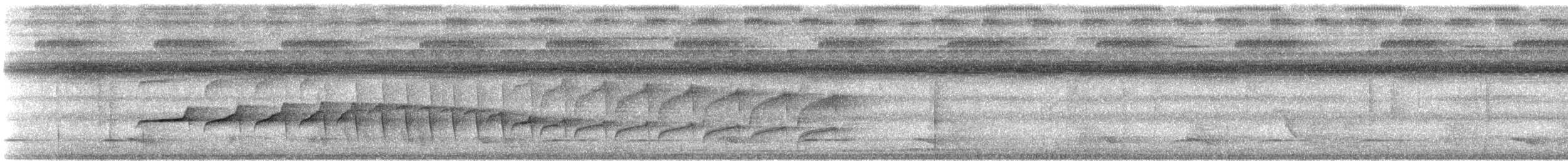 Braunweiß-Ameisenvogel - ML605479101