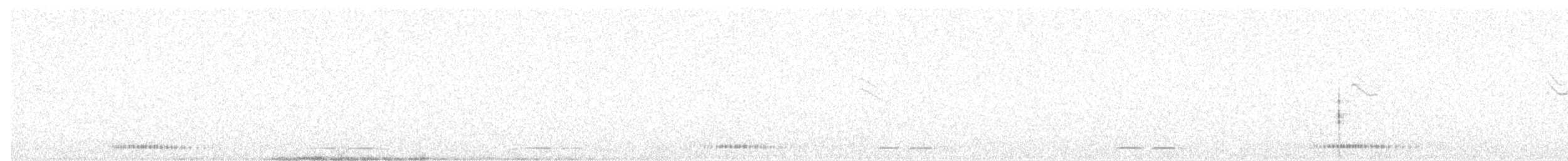 holoubek proužkokrký - ML605485221