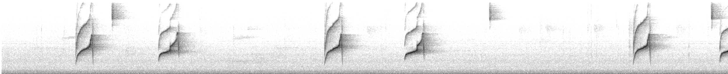 Weißbrauen-Dickichtschlüpfer - ML605501781