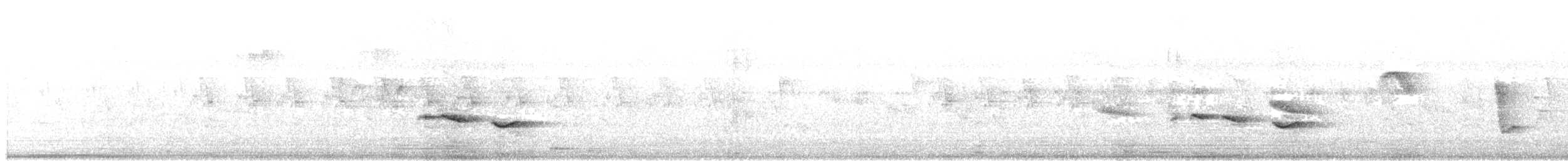 Йора чорнокрила - ML60550201