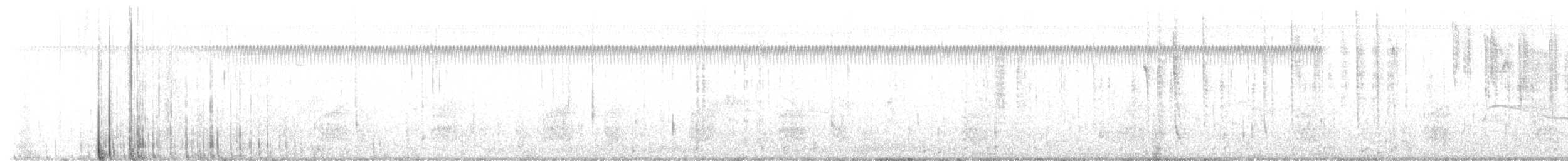 Алленов колибри - ML605511431