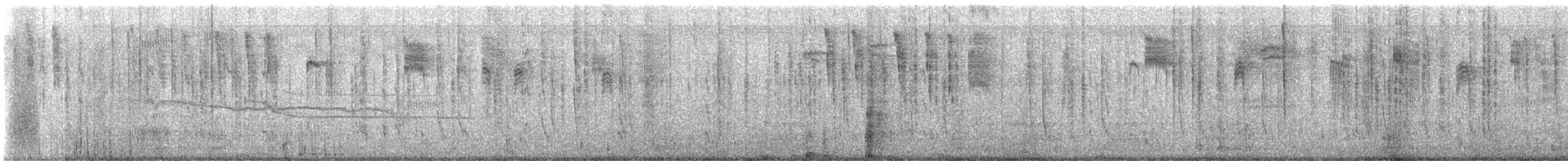 Krummschnabel-Spottdrossel - ML605512691