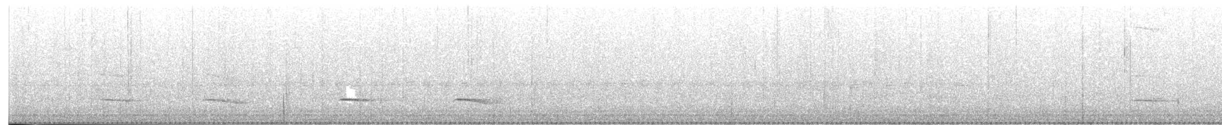 Kestane Sırtlı Karıncakuşu - ML605513071