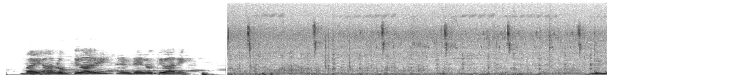 Cisticole des joncs - ML605532631