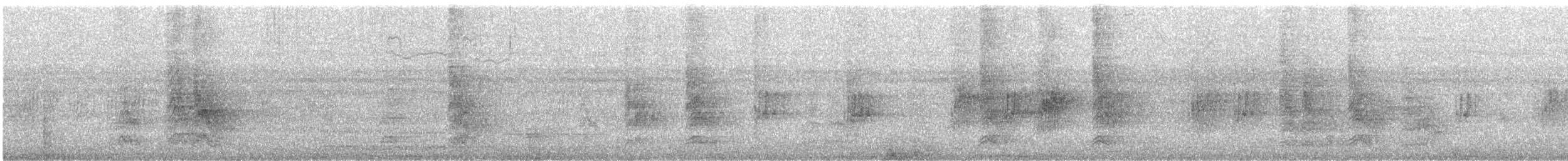 House Sparrow - ML605553581