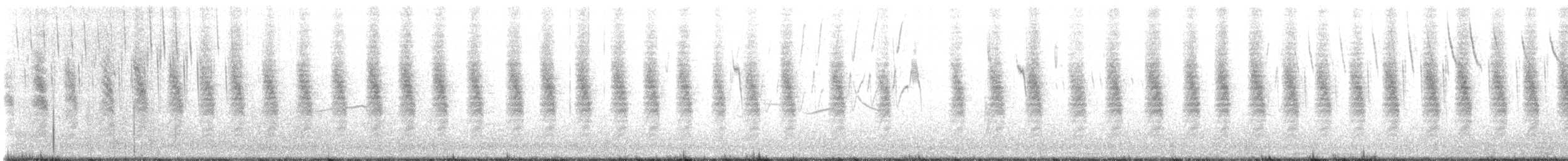 Troglodyte de Latham - ML605582051