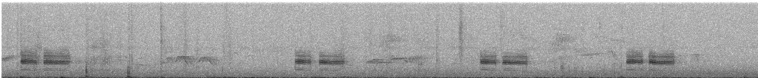 svartryggvarsler (collaris gr.) - ML605621821