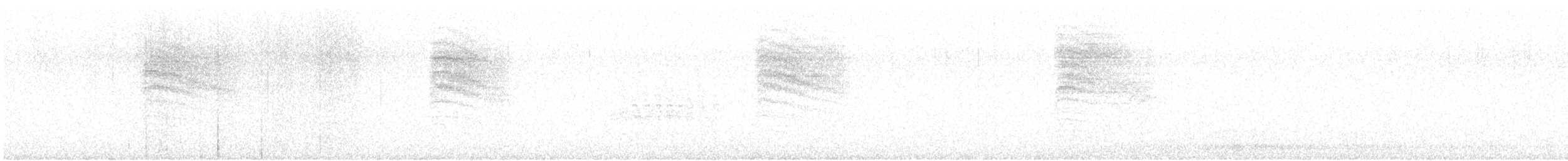 Perlita Cejiblanca - ML605673621