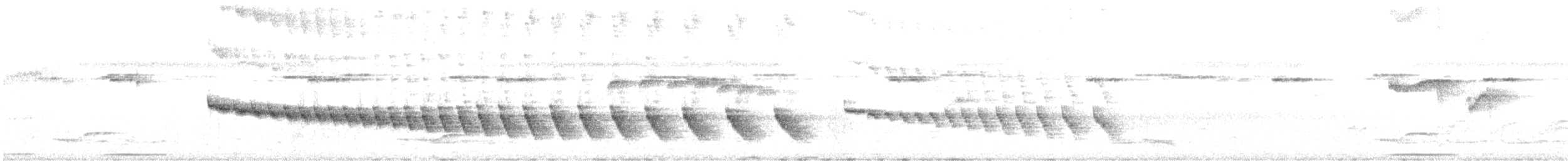 Grauband-Ameisenvogel - ML605690681